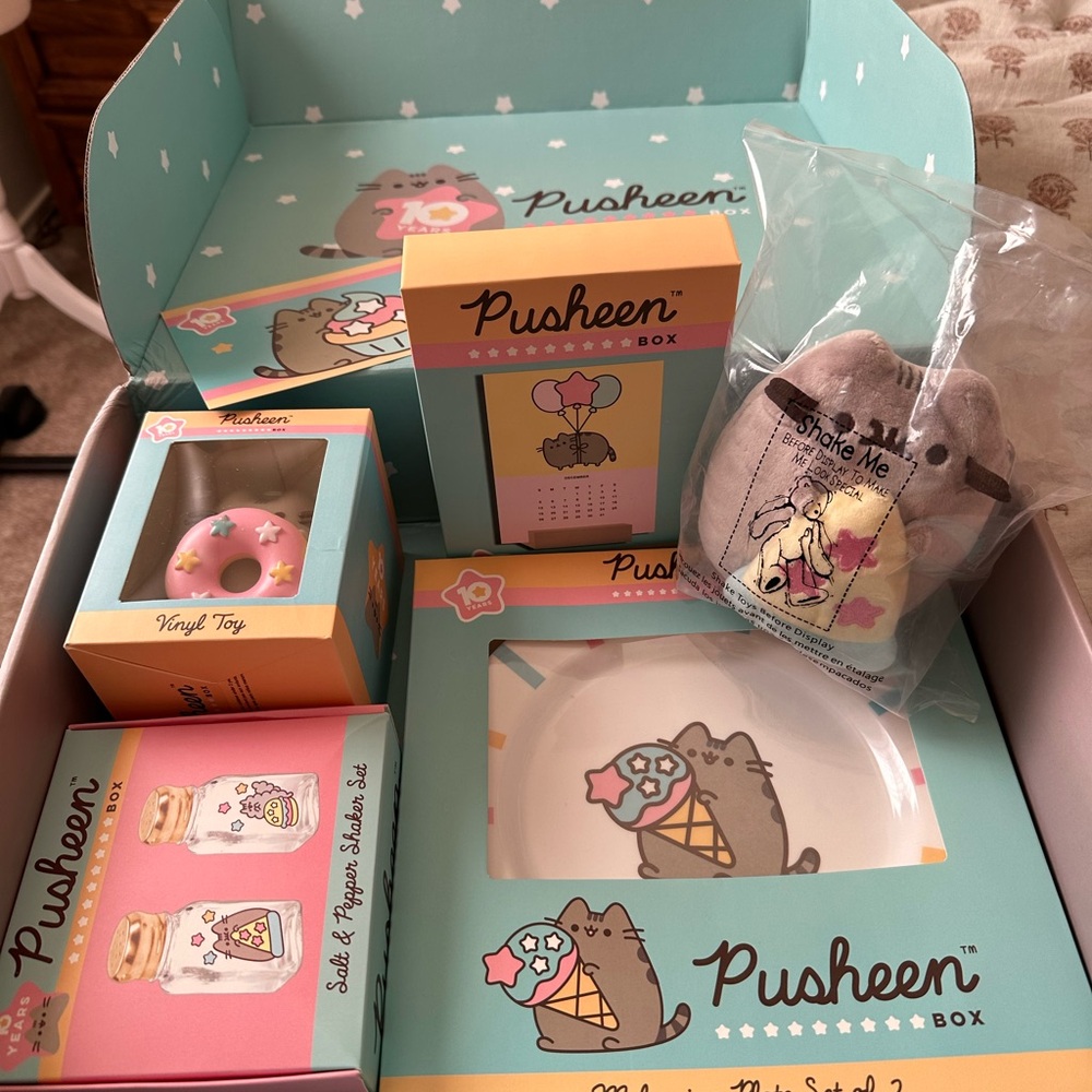 Pusheen winter box 2020